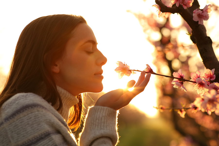 Woman in light sweater smelling flower in front of setting sun Woman in light sweater smelling flower in front of setting sun