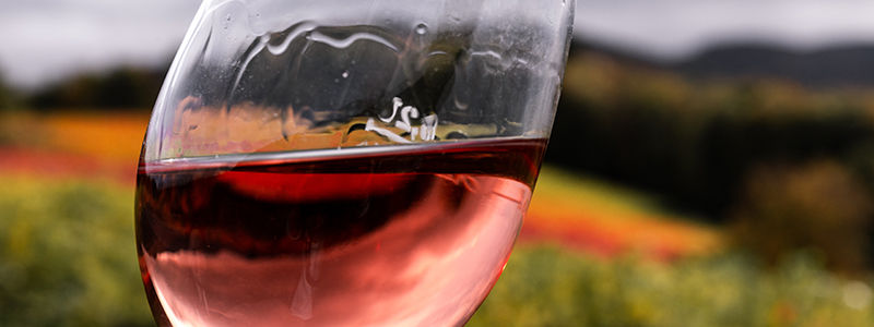 White Zinfandel and Rosé Wines